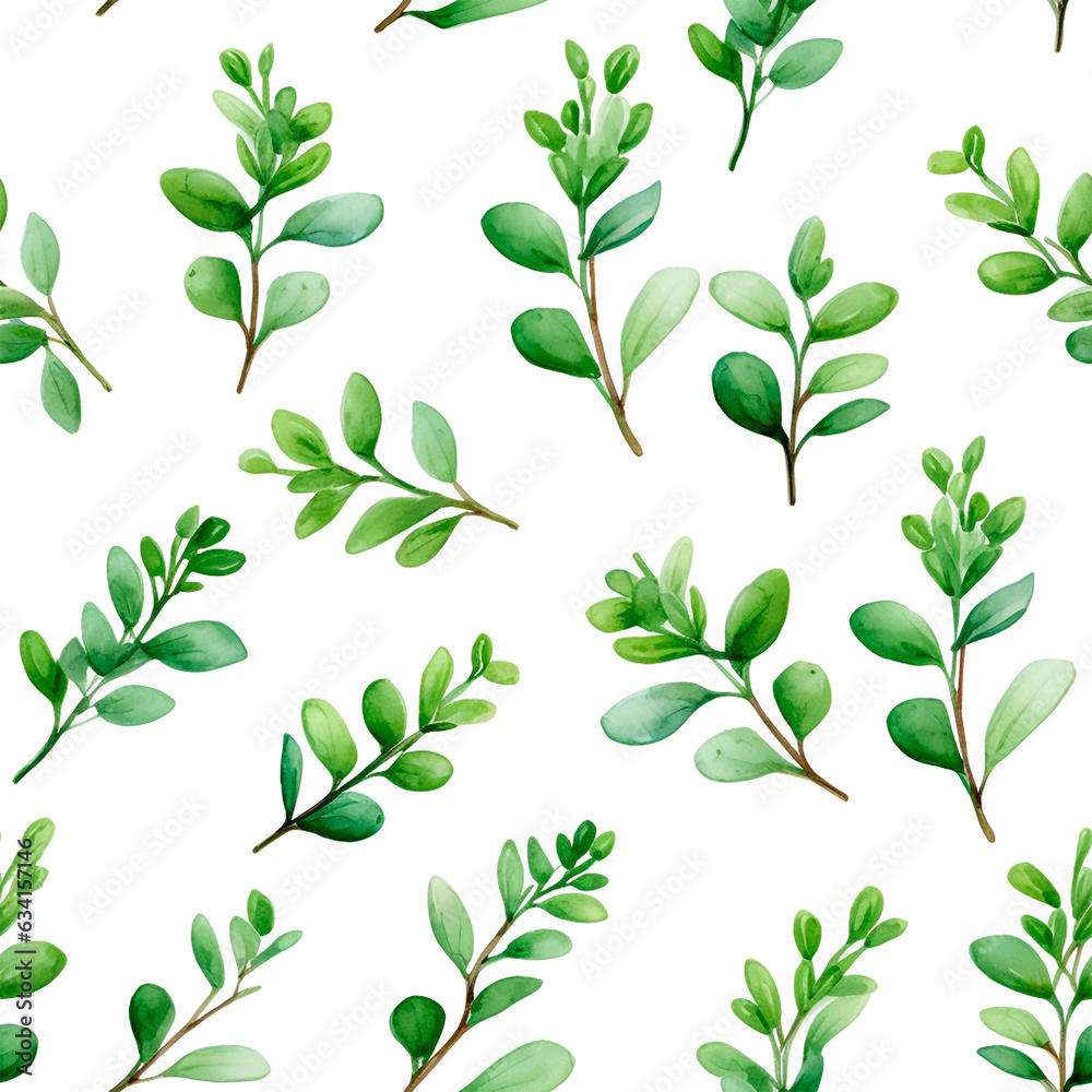 Thyme spice seamless watercolor pattern on the white background background herb background Thyme spice seamless watercolor pattern on the white background background herb background