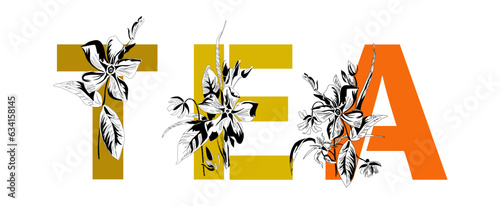 Woman's name Tea. Font composition named TEA. Decorative floral font. Typography in the style of art nouveau, modern, vintage.
