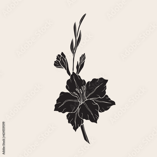 Tablou canvas Hand drawn vector gladiolus flower