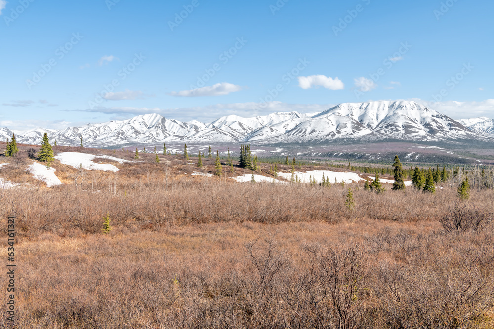Denali National Park from the Savage River Alpine Trail, Alaska, USA Denali National Park from the Savage River Alpine Trail, Alaska, USA