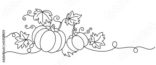Pumpkin line art style vector illustration