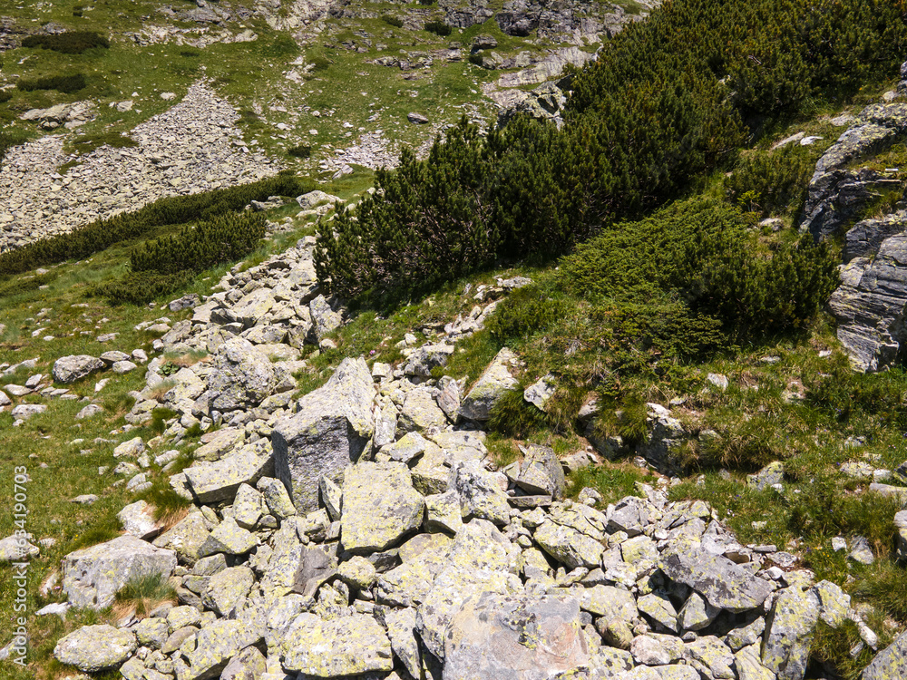 Aerial view of Rila Mountain near Malyovitsa peak, Bulgaria Aerial view of Rila Mountain near Malyovitsa peak, Bulgaria