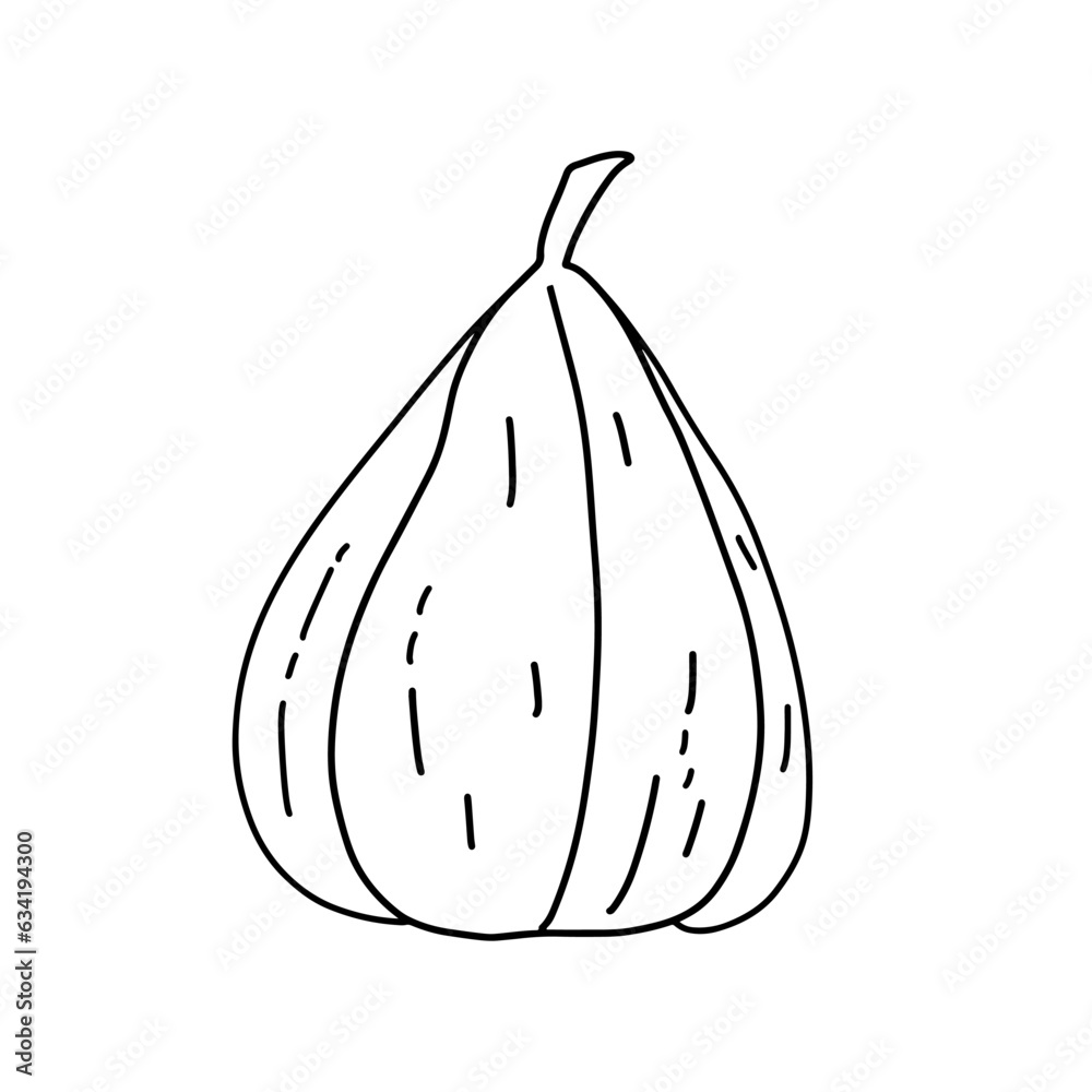 Pumpkin doodle line art. Coloring page element. Harvest Thanksgiving autumn fall. Teaching materials, coloring page element.