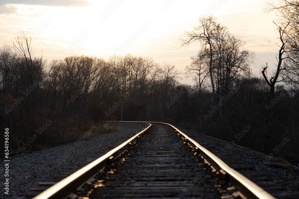 Fototapeta premium Dead trees and a beautiful morning sky along the rail road tracks