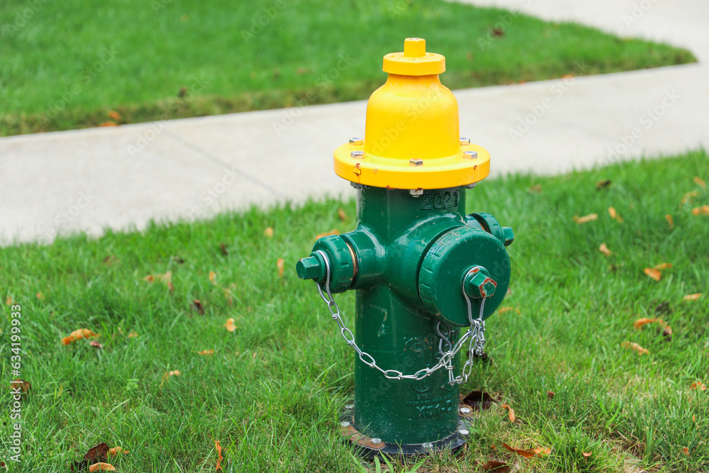 fire hydrant on a city street, a crucial icon of safety and preparedness, symbolizing firefighting readiness and urban protection fire hydrant on a city street, a crucial icon of safety and preparedness, symbolizing firefighting readiness and urban protection