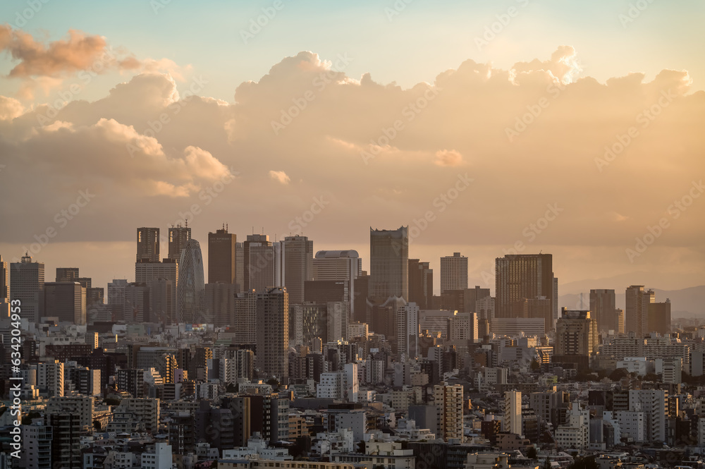 Fototapeta premium 東京都文京区から見た夕方の東京の都市景観