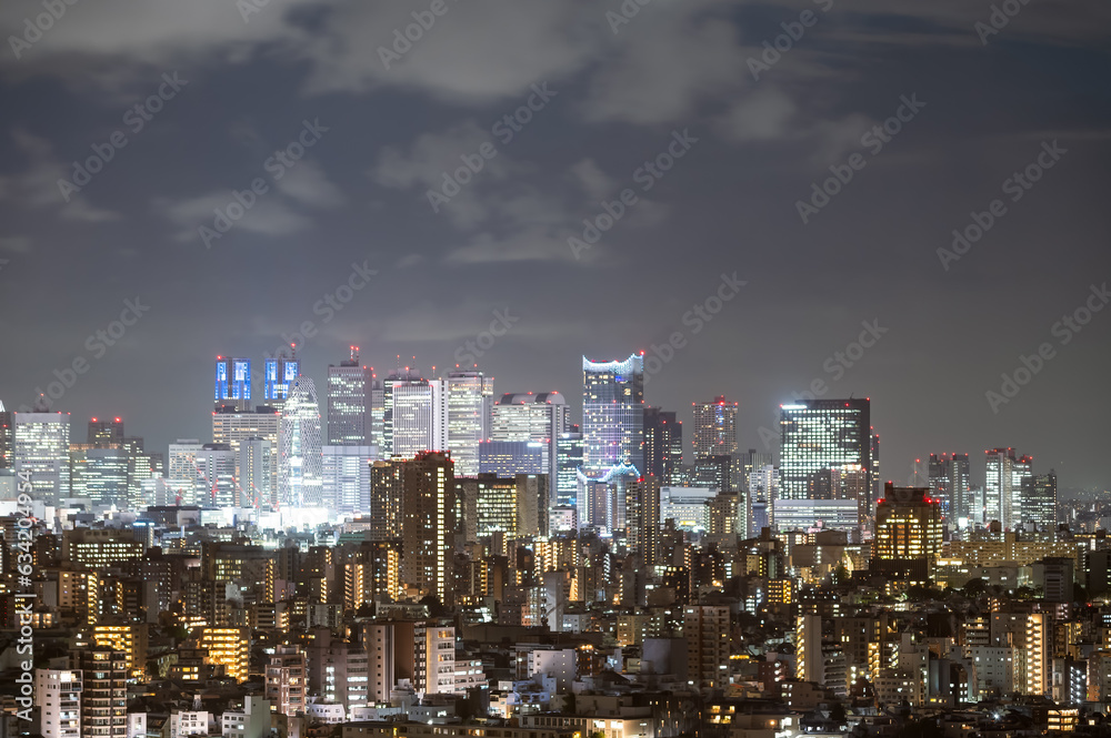 東京都文京区から見た夜の東京の都市景観