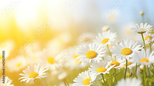 Beautiful field meadow flowers chamomile in morning sunny meadow, nature landscape, close-up macro. Digital illustration generative AI.
