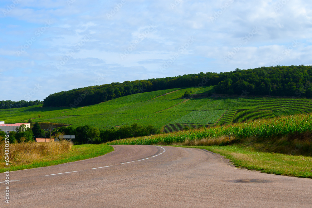Hills with vineyards near Urville, champagne vineyards in Cote des Bar, Aube, south of Champange, France