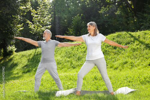 Senior couple practicing yoga on green grass in park