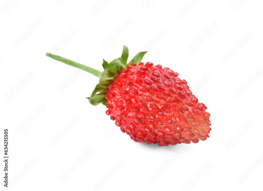 One ripe wild strawberry isolated on white