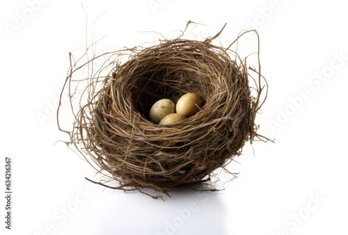 Wallpaper Mural Bird nest on white background
 Torontodigital.ca