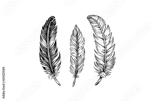 A vintage feather quill etching style sketch. Vector engraving style illustration.