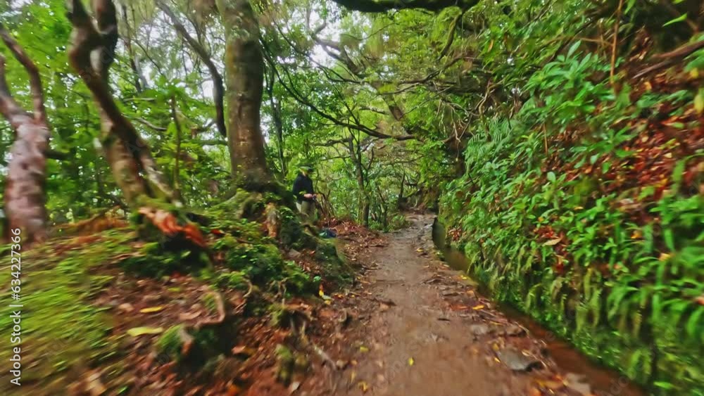 FPV Experience On A Forest Pathway FPV Experience On A Forest Pathway