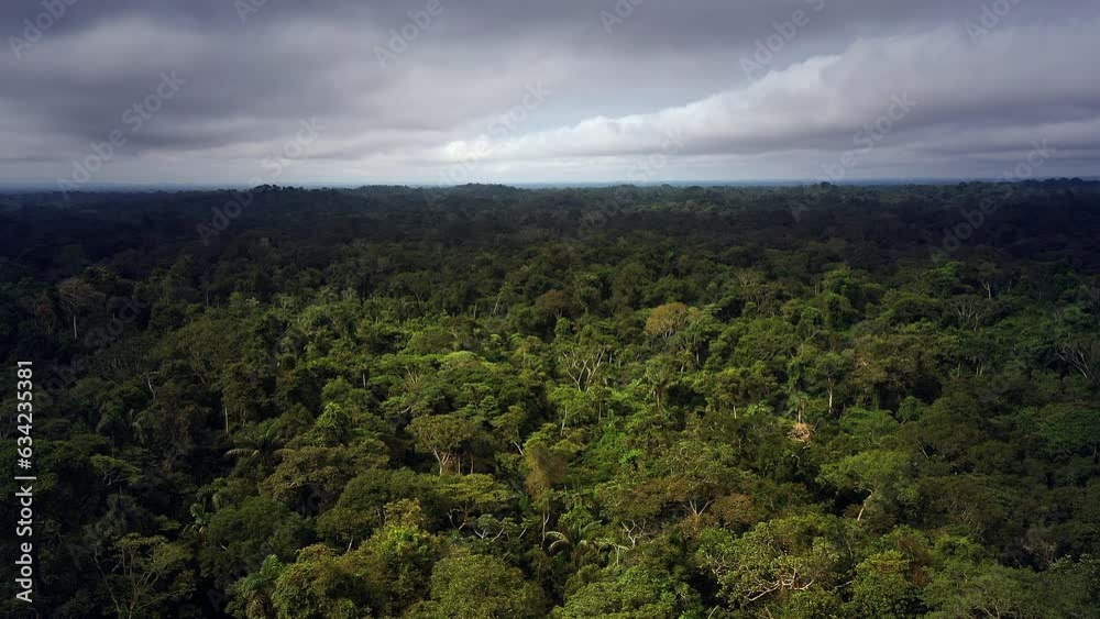 Aerial view of the canopy of the Amazon rainforest in Ecuador. Aerial view of the canopy of the Amazon rainforest in Ecuador.