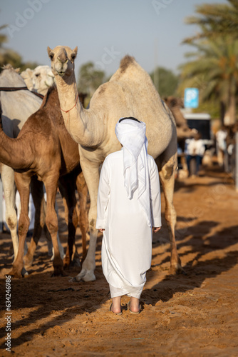 Young Saudi arabian kid looking at his camel at the camel market