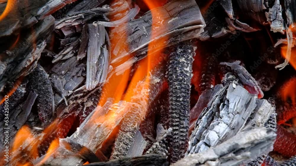 barbecue fire with cleaned cobs and chopped wood in slow motion barbecue fire with cleaned cobs and chopped wood in slow motion