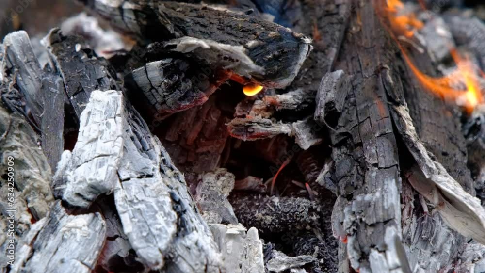 barbecue fire with cleaned cobs and chopped wood in slow motion barbecue fire with cleaned cobs and chopped wood in slow motion