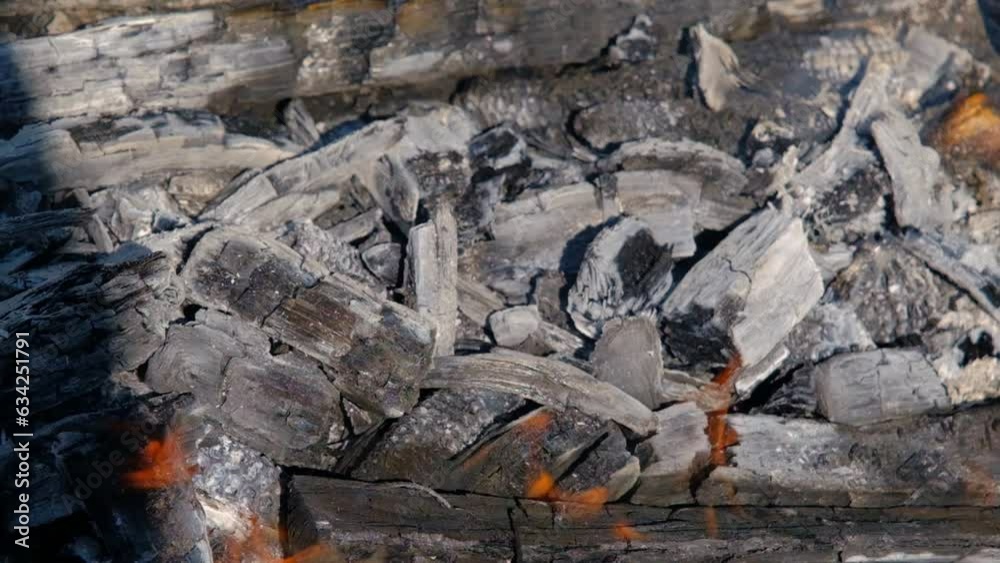barbecue fire with cleaned cobs and chopped wood in slow motion barbecue fire with cleaned cobs and chopped wood in slow motion