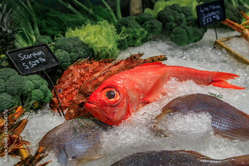 Fresh raw red bigeye and scorpion fish on ice at a restaurant, Beverly Hills, Ca photo