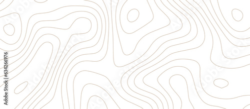 Abstract topographic map lines, contour map background. .topographic 3D waves map background .abstract white wave paper curved reliefs.