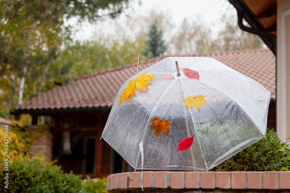 Open transparent umbrella stands in yard