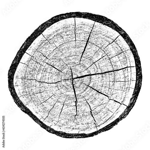 Wood texture cross section of tree rings. Cut slice of wooden stump isolated on white. Textured surface with rings and cracks. Black background made of hardwood from the forest. Vector illustration.