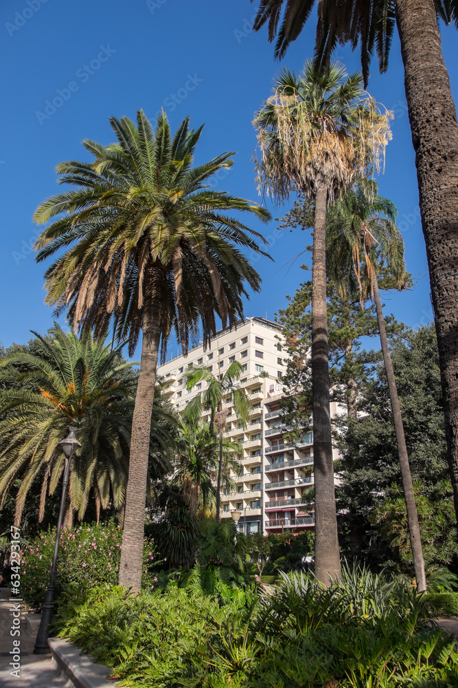 Palmeras en el parque de Málaga y vista de edificios 