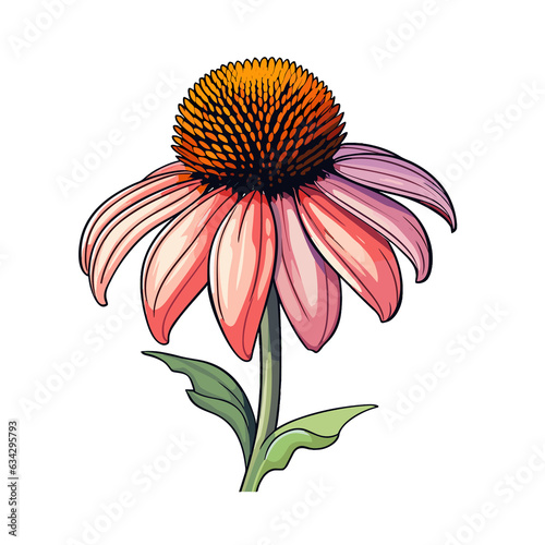 Coneflower Flower watercolor 3D vector illustration