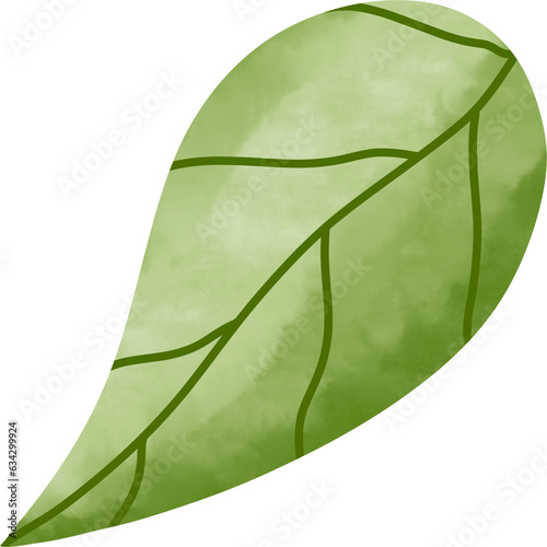 Beautiful green leaf.