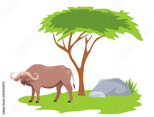 African buffalo on the African savannah. Bull of cape buffalo or desert ox. Nature and animals of Africa. Reserves and national parks.