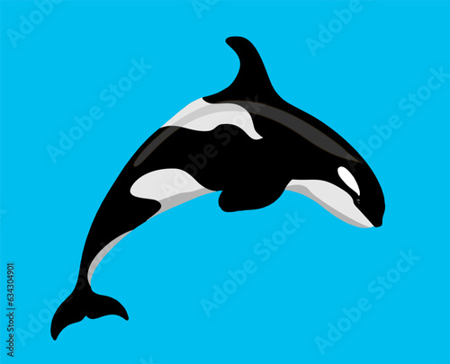 Killer whale sea animal isolated vector illustration. Grampus. Orca or toothed whale  marine predator leaping out of water with curved tail. For logo  greeting card and design.