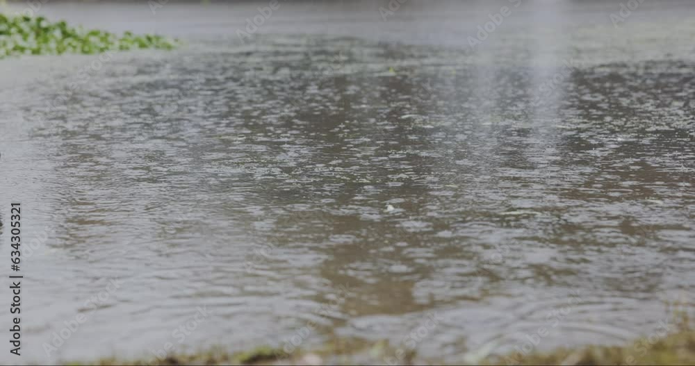 Puddle, road or rain in a lake during winter with landscape of a natural environment. Outdoor closeup, nature and a river, street or ocean with flooding of water, bad weather and view by the sea Puddle, road or rain in a lake during winter with landscape of a natural environment. Outdoor closeup, nature and a river, street or ocean with flooding of water, bad weather and view by the sea