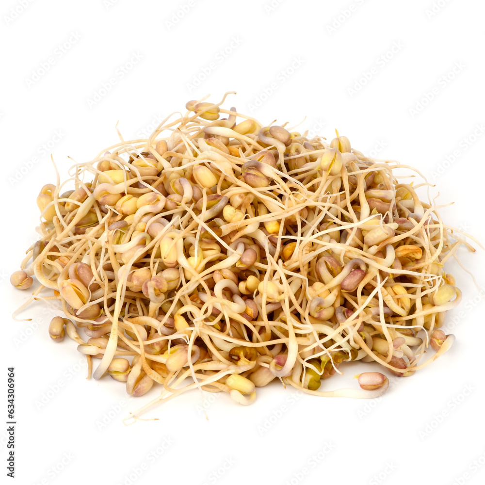 Masha sprouts on a white background