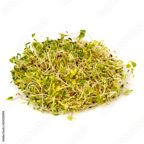 Quadro em tela Sprouts mix slenderness on a white background
