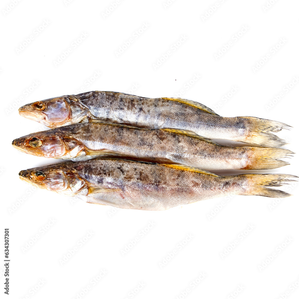 Pike perch dried uncut in on a white background Pike perch dried uncut in on a white background