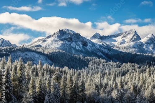 Snowy Mountain Range