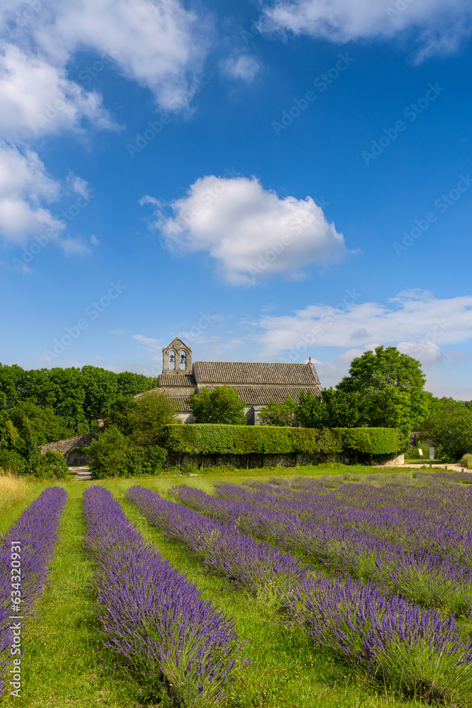 Stunning countryside landscape in Provence, Haute Provence. Remarkable Gardens of France. Salagon old church and museum with lavender flowers, idyllic nature sunny background. Travel Europe