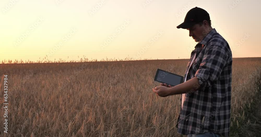 The farmer checks the condition of the wheat ears in the field at sunset and takes notes on the clipboard. A man holds a tablet in his hands and inspects a field of wheat making notes. The farmer checks the condition of the wheat ears in the field at sunset and takes notes on the clipboard. A man holds a tablet in his hands and inspects a field of wheat making notes.
