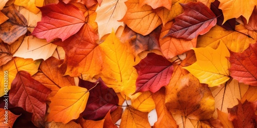 Autumn colorful leaves background  Falling leaves natural background  generative ai