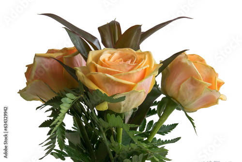 Roses flowers bunch closeup isolated on white background.