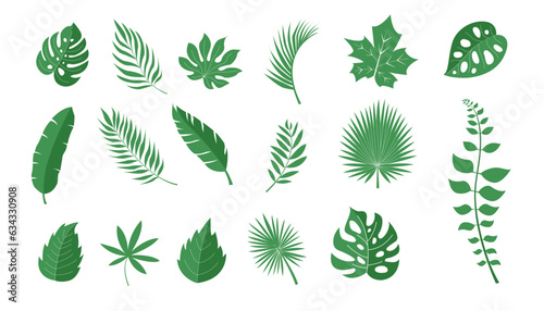 Colorful hand drawn collection of tropical leaves vector illustration
