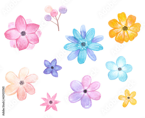 Watercolor illustrations of flowers in various colors