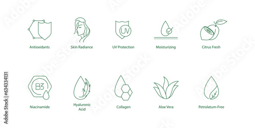 Vector Icon Collection Highlighting Key Beauty and Wellness Elements