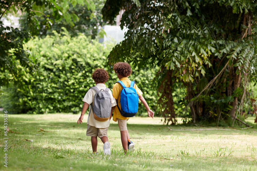 Obraz premium Brothers holding hands when walking in park on sunny day, view from behind