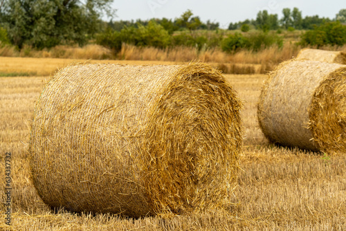 żniwa, bela słomy