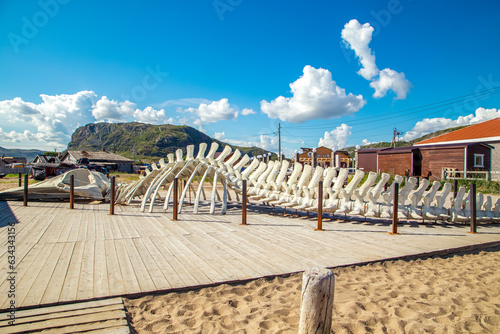 Whale skeleton in the small fishing town of Teriberka. photo