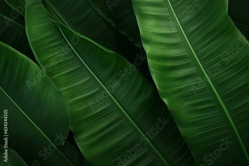 abstract tropical leaves texture  nature background  tropical leaf