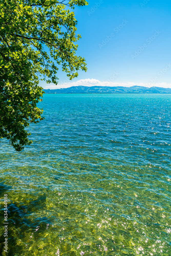 Germany, bodensee lake constance view sunny day in paradise nature landscape water green plants with sun in summer