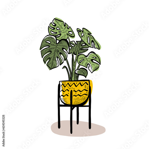 Monstera house plant Illustration with clear background  (ID: 634345328)